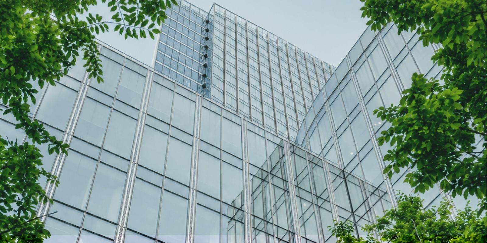 ISO 14001:2026: Nové vydání standardu je tady